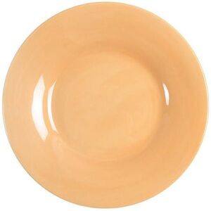 Pottery Barn “Sausalito Amber” Large Ceramic Dinner/Chop Plate